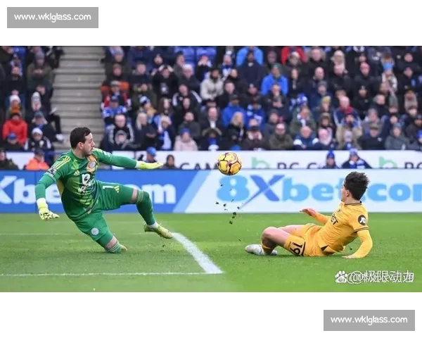 范尼下课震动英超:莱斯特城董事会危机大起 范尼下课震动英超:莱斯特城董事会危机大起