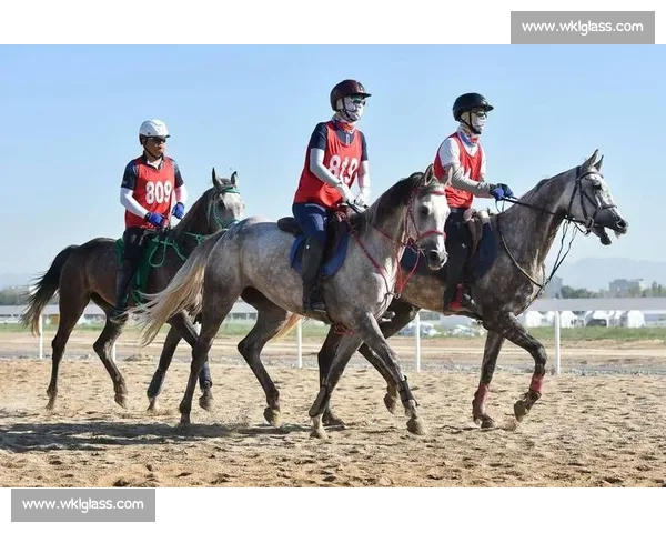 巅峰对决！国内顶级马术赛在邯郸激情开赛