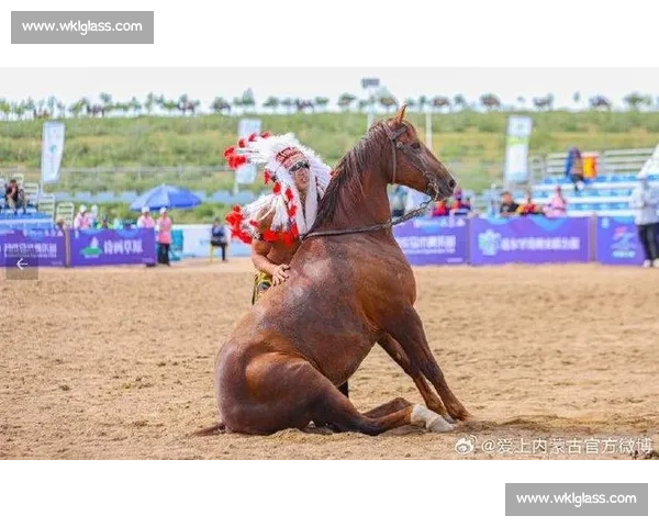 巅峰对决！国内顶级马术赛在邯郸激情开赛